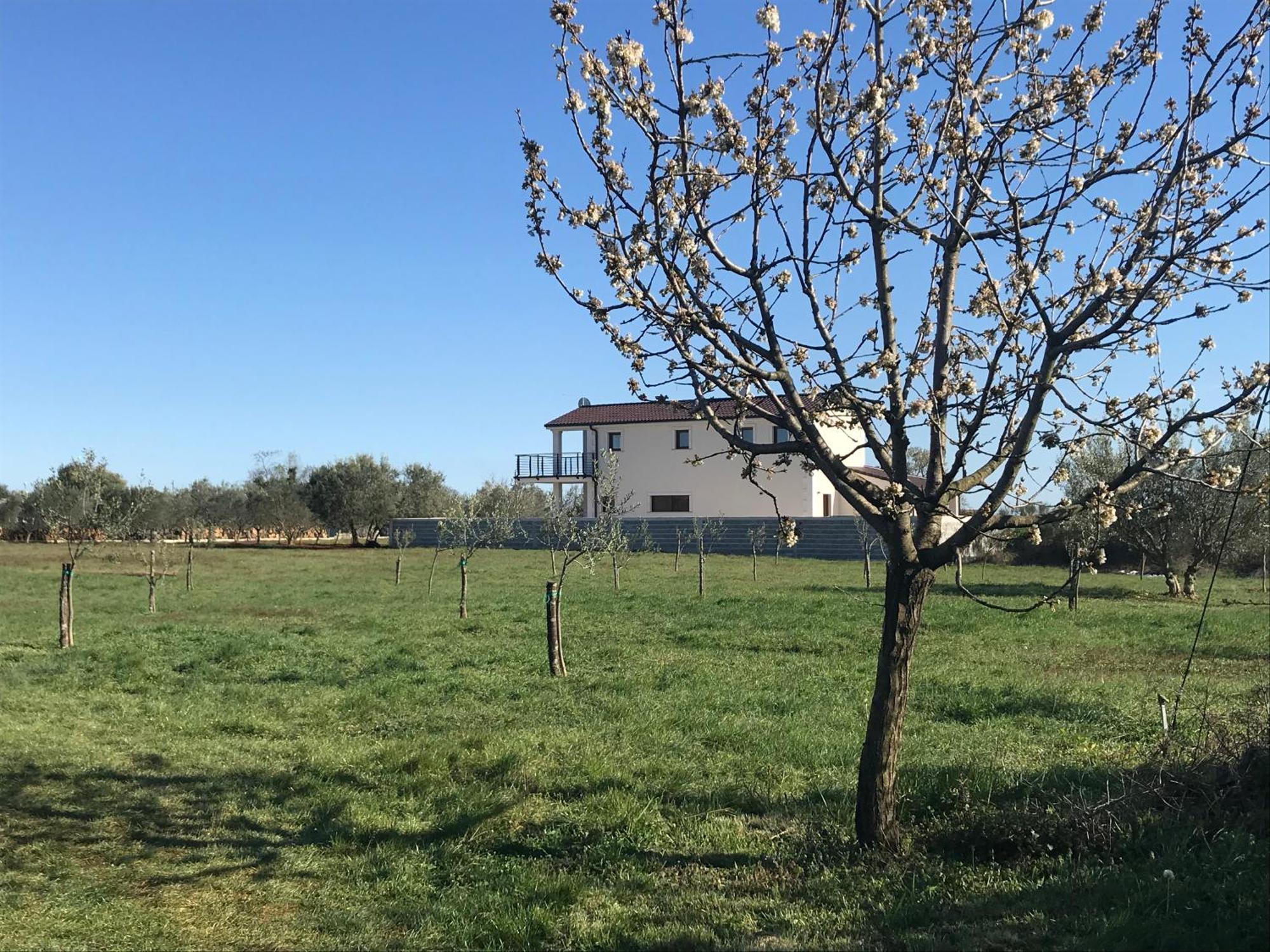 Villa Lydia Marčana Екстериор снимка