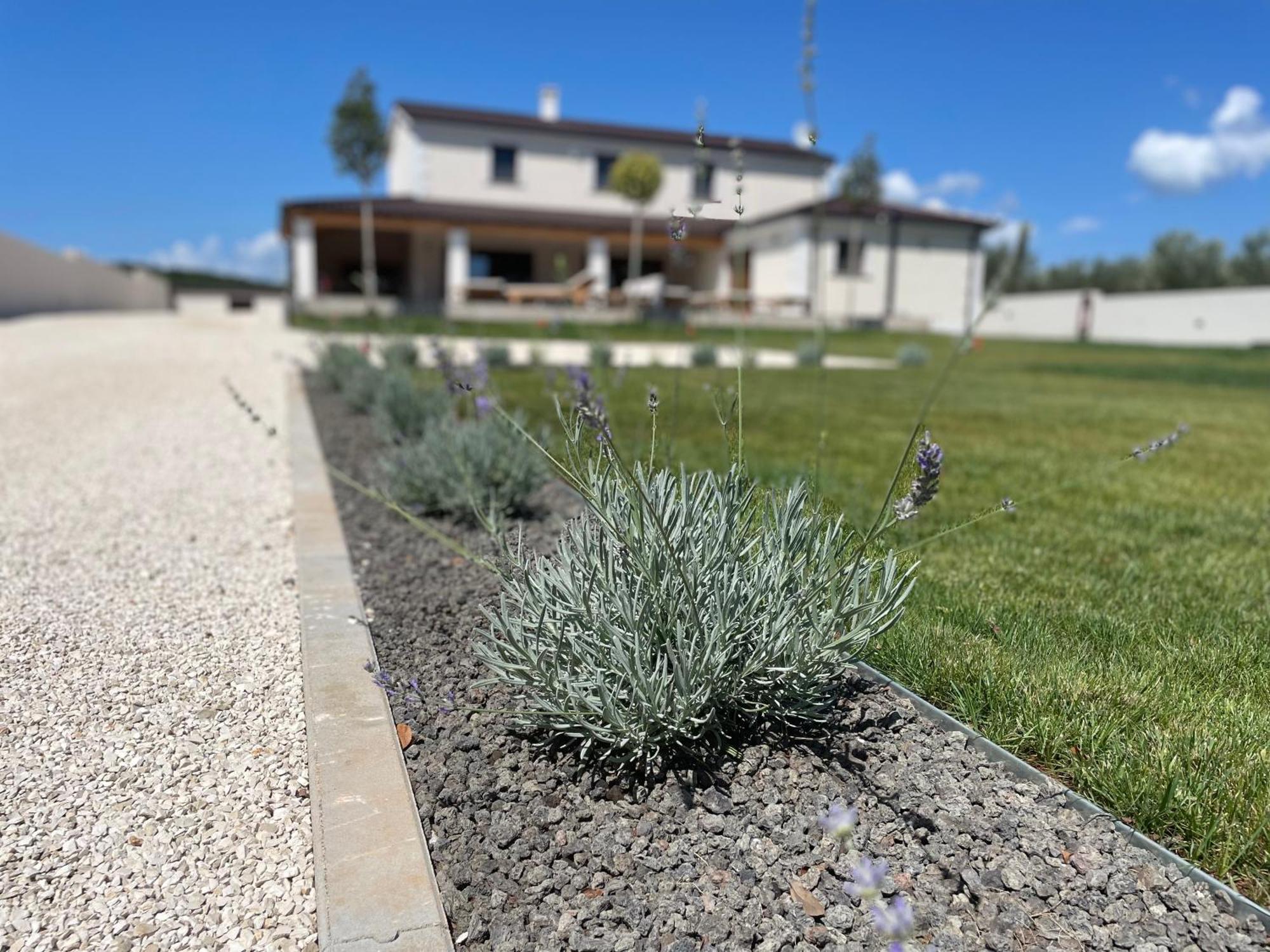 Villa Lydia Marčana Екстериор снимка